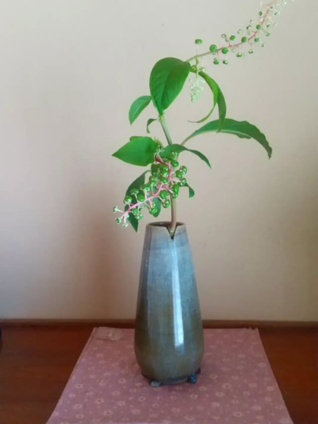 江戸時代から伝わる技術を受け継ぐ岡山の伝統工芸【虫明焼窯元】